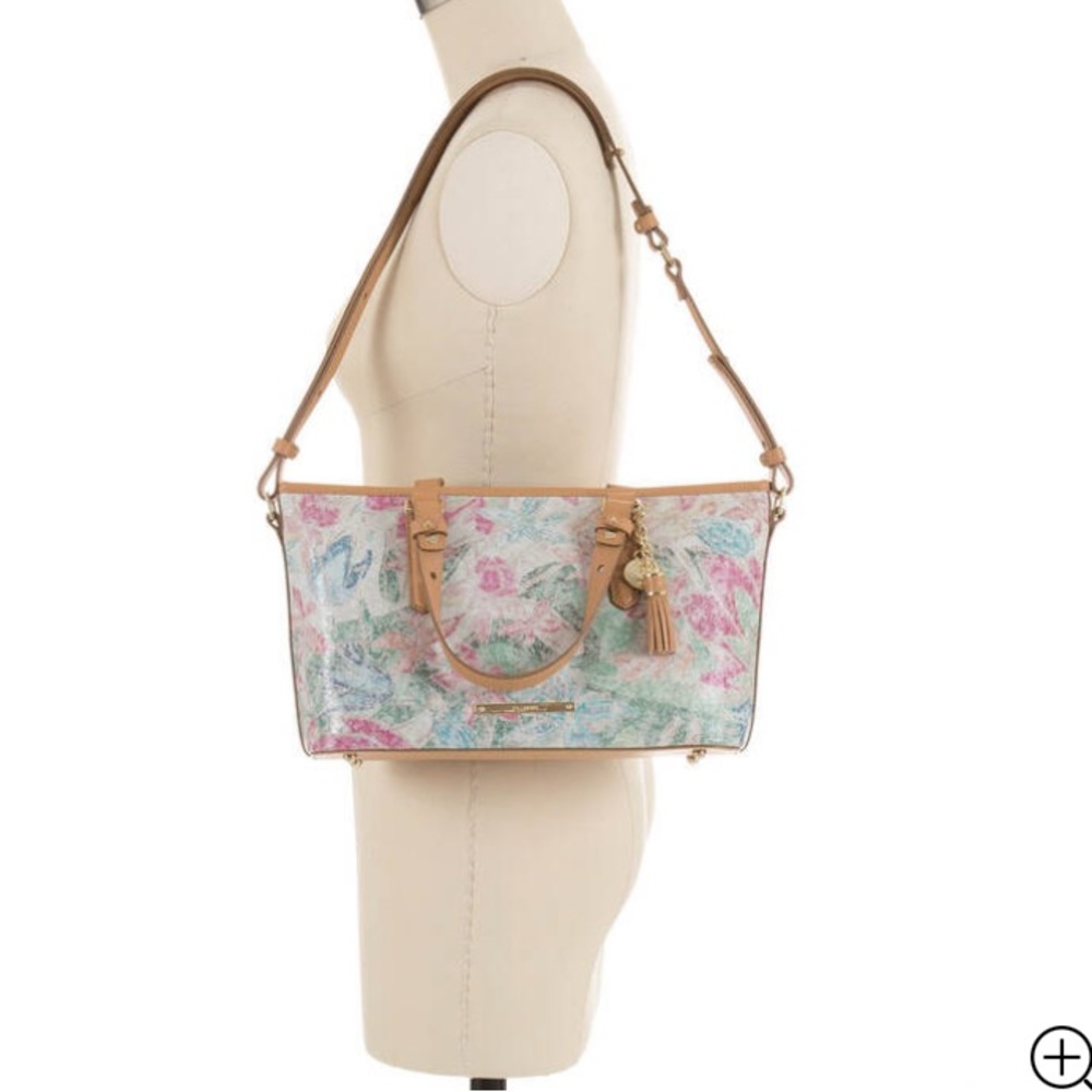 Bramin Mini Asher - image 3